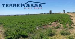 Rancho en Venta en Trancoso, Zacatecas, en Ciudad Deportiva Tierra Adentro