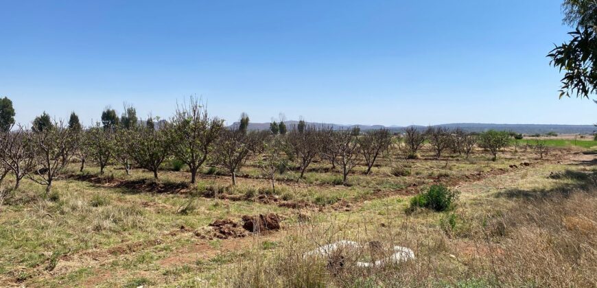 Rancho en Venta en Trancoso, Zacatecas, en Ciudad Deportiva Tierra Adentro