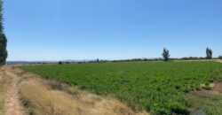 Rancho en Venta en Trancoso, Zacatecas, en Ciudad Deportiva Tierra Adentro