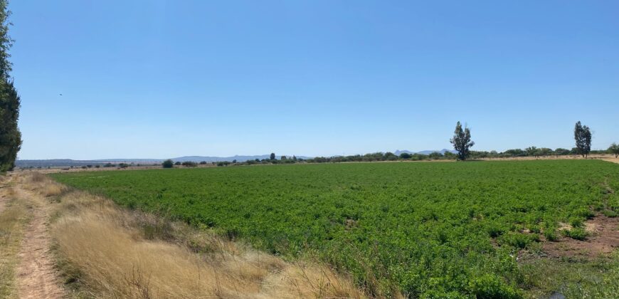 Rancho en Venta en Trancoso, Zacatecas, en Ciudad Deportiva Tierra Adentro