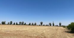 Rancho en Venta en Trancoso, Zacatecas, en Ciudad Deportiva Tierra Adentro