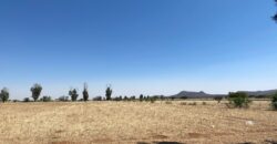 Rancho en Venta en Trancoso, Zacatecas, en Ciudad Deportiva Tierra Adentro