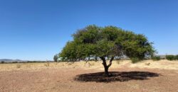Rancho en Venta en Trancoso, Zacatecas, en Ciudad Deportiva Tierra Adentro