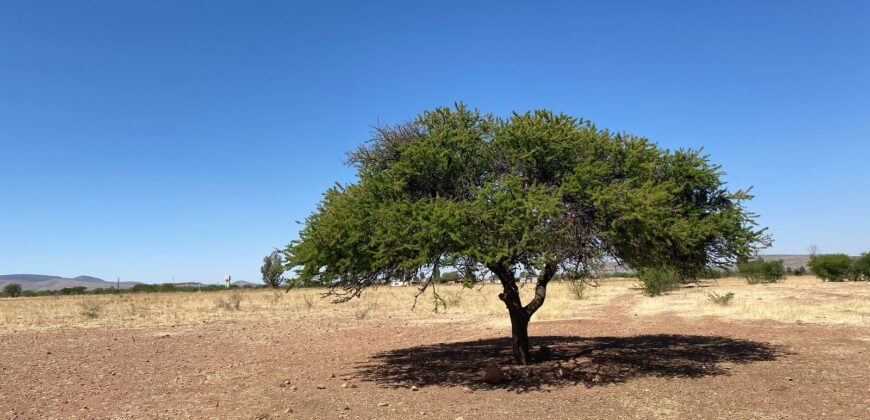 Rancho en Venta en Trancoso, Zacatecas, en Ciudad Deportiva Tierra Adentro
