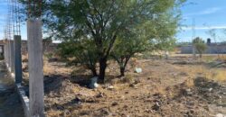 Terreno en Venta en Guadalupe, Zac. En Cieneguitas