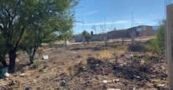 Terreno en Venta en Guadalupe, Zac. En Cieneguitas
