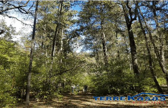 Rancho en Venta en Valparaíso, Zacatecas
