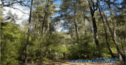 Rancho en Venta en Valparaíso, Zacatecas