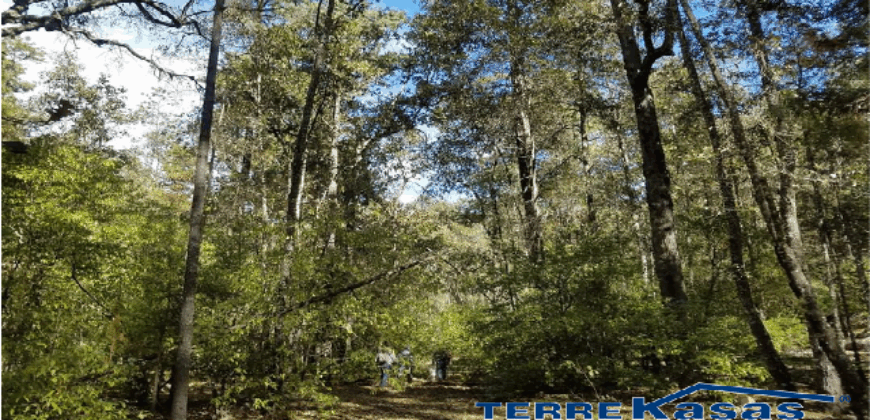Rancho en Venta en Valparaíso, Zacatecas