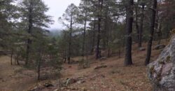 Rancho en Venta en Valparaíso, Zacatecas