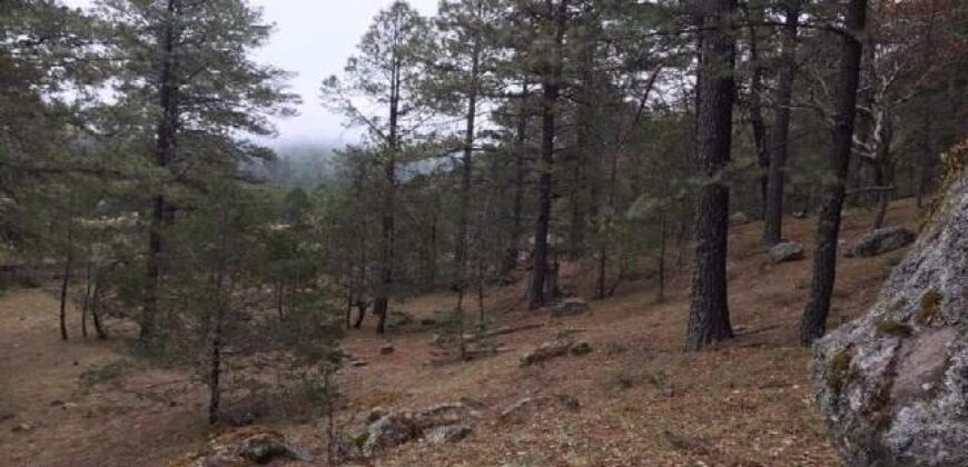 Rancho en Venta en Valparaíso, Zacatecas