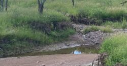 Casa Campestre en Obra Blanca en Venta en Jerez, Zacatecas