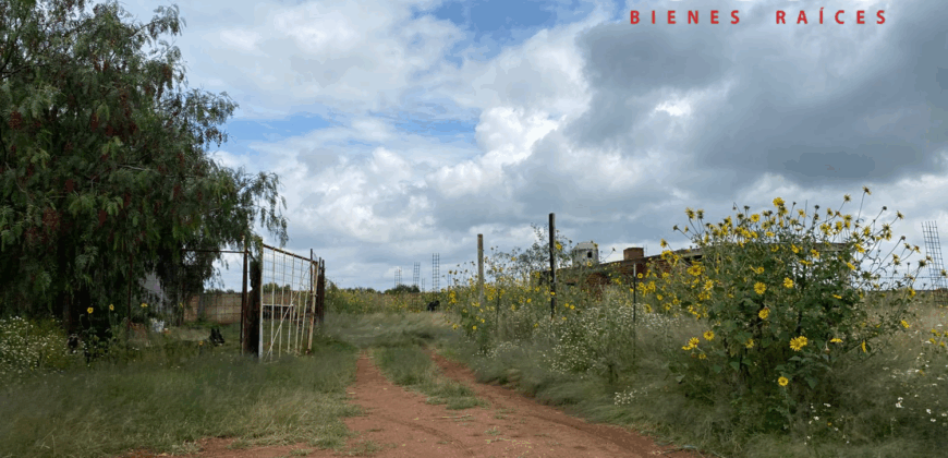 Terreno en Venta en Guadalupe, en La Zacatecana