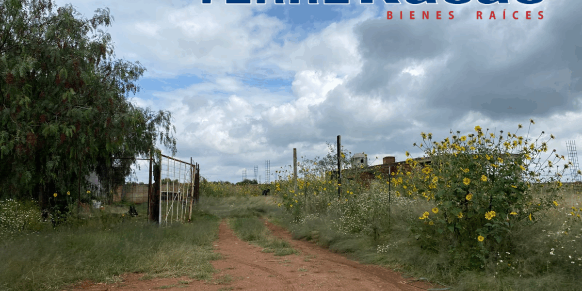 Terreno en Venta en Guadalupe, en La Zacatecana