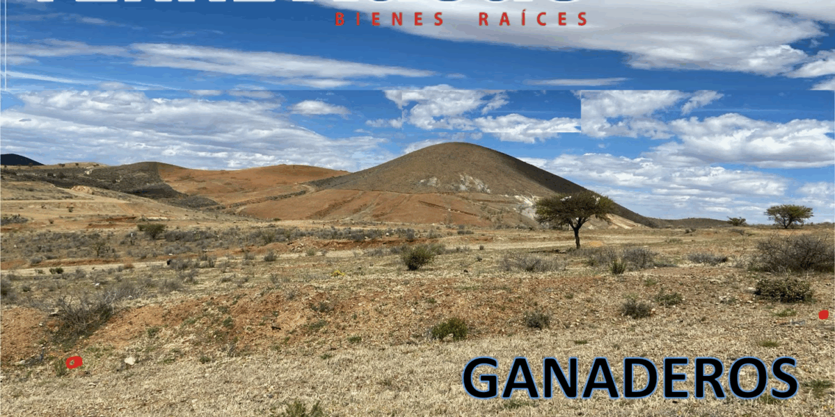 Terreno en Venta en Zacatecas, en Ganaderos Bernárdez