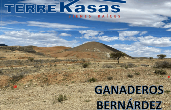 Terreno en Venta en Zacatecas, en Ganaderos Bernárdez