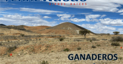 Terreno en Venta en Zacatecas, en Ganaderos Bernárdez
