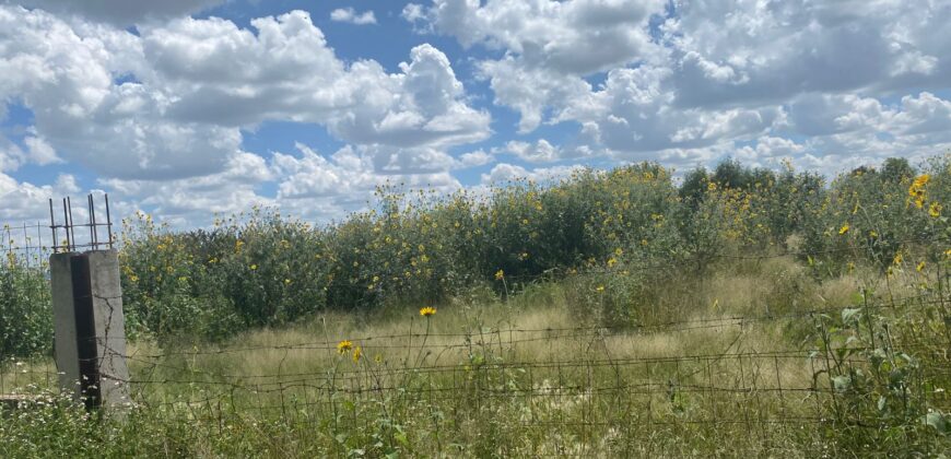 Terreno en Venta en Guadalupe, en La Zacatecana