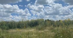 Terreno en Venta en Guadalupe, en La Zacatecana