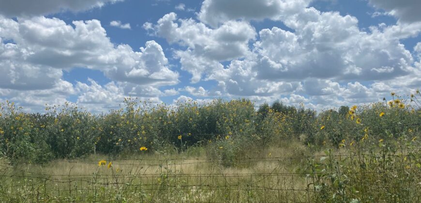 Terreno en Venta en Guadalupe, en La Zacatecana