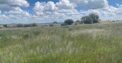 Terreno en Venta en Guadalupe, en La Zacatecana