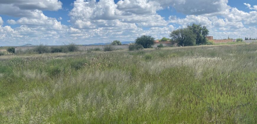 Terreno en Venta en Guadalupe, en La Zacatecana