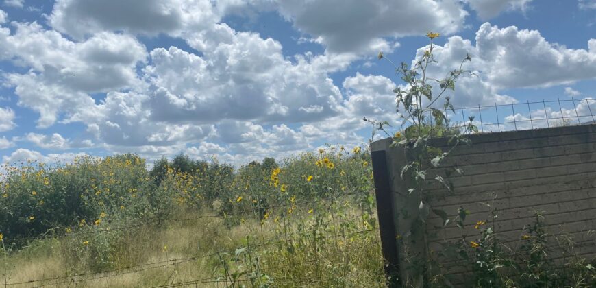 Terreno en Venta en Guadalupe, en La Zacatecana