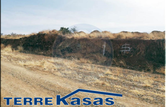 Dos Terrenos en Venta en Zacatecas, en Col. Ganaderos Bernárdez