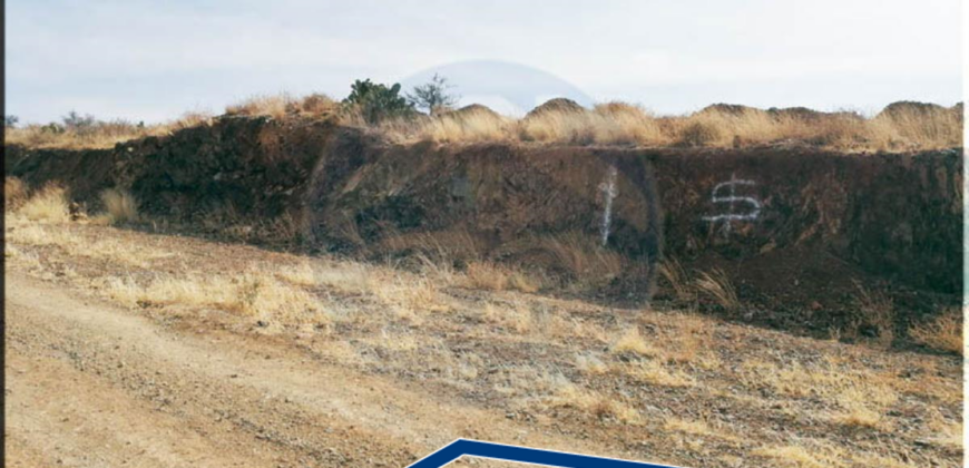 Dos Terrenos en Venta en Zacatecas, en Col. Ganaderos Bernárdez