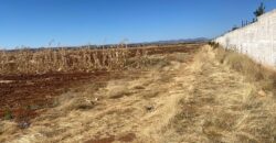 Terreno en Renta en Parque Industrial, en Calera de Víctor Rosales, Zacatecas