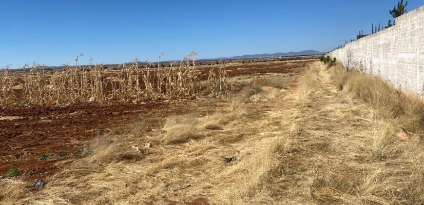 Terreno en Renta en Parque Industrial, en Calera de Víctor Rosales, Zacatecas