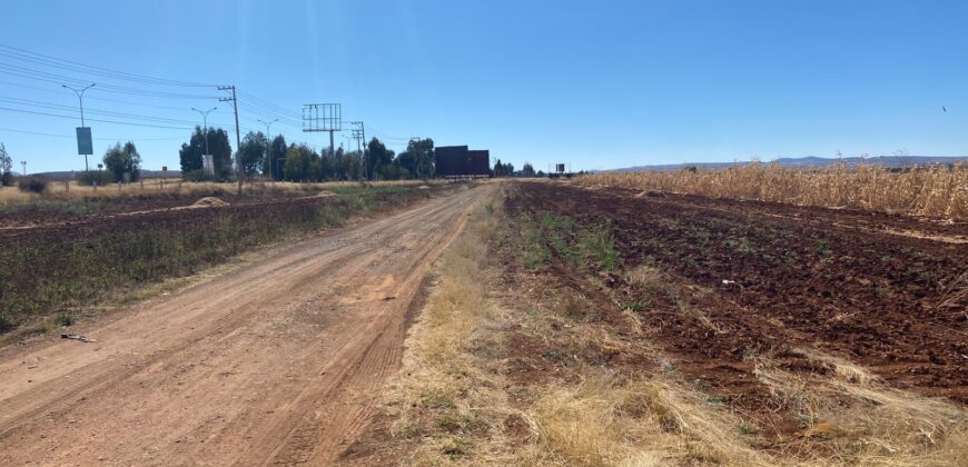 Terreno en Renta en Parque Industrial, en Calera de Víctor Rosales, Zacatecas