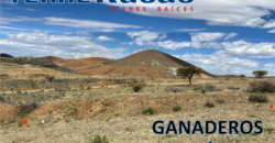 Dos Terrenos en Venta en Zacatecas, en Col. Ganaderos Bernárdez