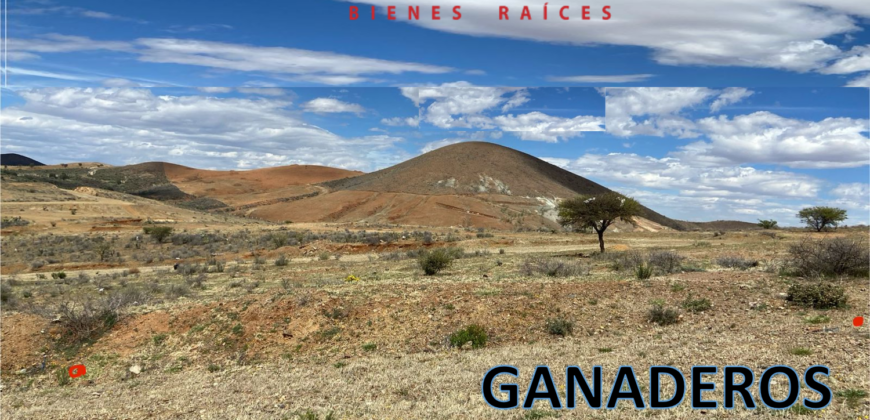 Dos Terrenos en Venta en Zacatecas, en Col. Ganaderos Bernárdez