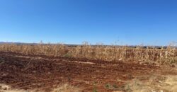 Terreno en Renta en Parque Industrial, en Calera de Víctor Rosales, Zacatecas
