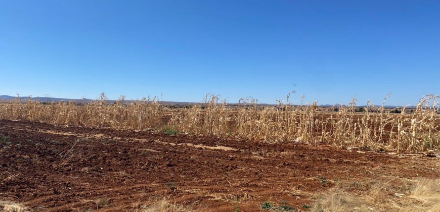 Terreno en Renta en Parque Industrial, en Calera de Víctor Rosales, Zacatecas