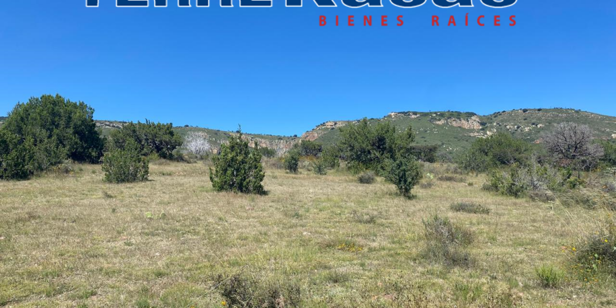 Tereno Campestre en Venta en Zacatecas, Cerca de Estación Palmira