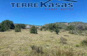 Tereno Campestre en Venta en Zacatecas, Cerca de Estación Palmira