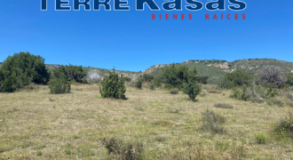 Tereno Campestre en Venta en Zacatecas, Cerca de Estación Palmira