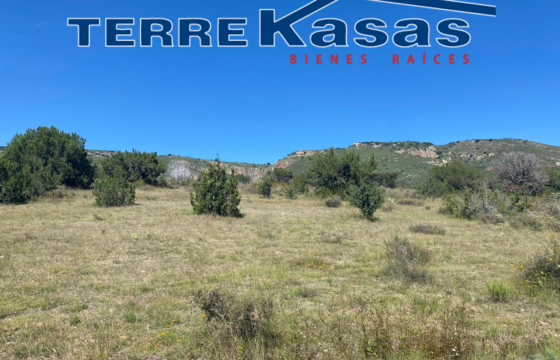 Tereno Campestre en Venta en Zacatecas, Cerca de Estación Palmira