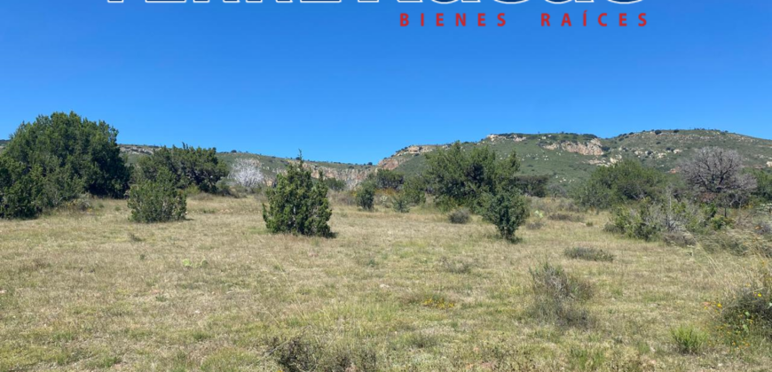 Tereno Campestre en Venta en Zacatecas, Cerca de Estación Palmira