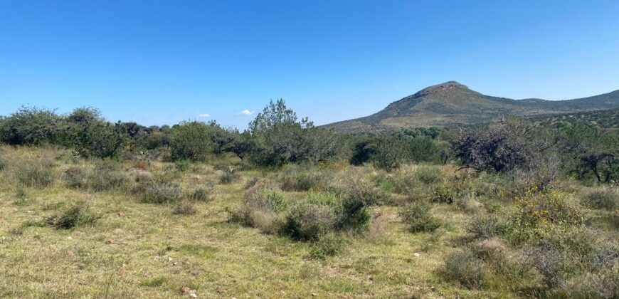 Tereno Campestre en Venta en Zacatecas, Cerca de Estación Palmira