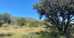 Tereno Campestre en Venta en Zacatecas, Cerca de Estación Palmira
