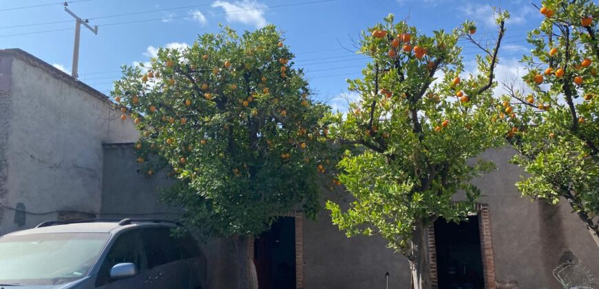 Terreno en Venta en Jerez, Zacatecas, en Colonia Obrera