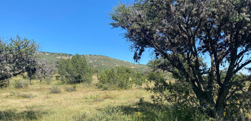 Tereno Campestre en Venta en Zacatecas, Cerca de Estación Palmira
