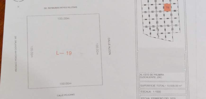 Tereno Campestre en Venta en Zacatecas, Cerca de Estación Palmira