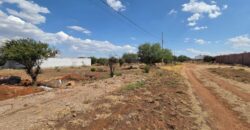 Terreno en Venta en Guadalupe, Zacatecas, por La Zacatecana