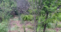 Terreno en Venta en Genaro Codina, Zacatecas