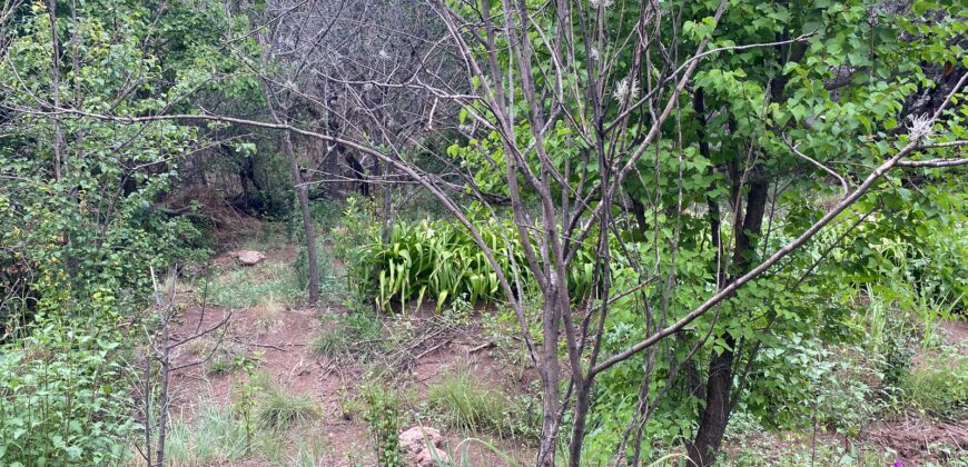 Terreno en Venta en Genaro Codina, Zacatecas