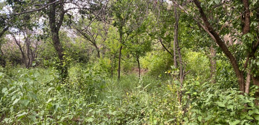 Terreno en Venta en Genaro Codina, Zacatecas